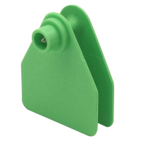 Close-upofagreencattleeartagandmatchingpointedearstud