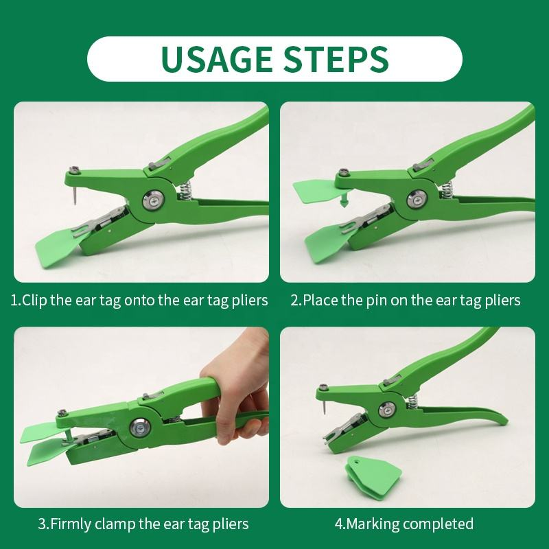 Fourstepsforinstallingacattleeartagwitheartagpliers