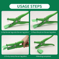 Fourstepsforinstallingacattleeartagwitheartagpliers