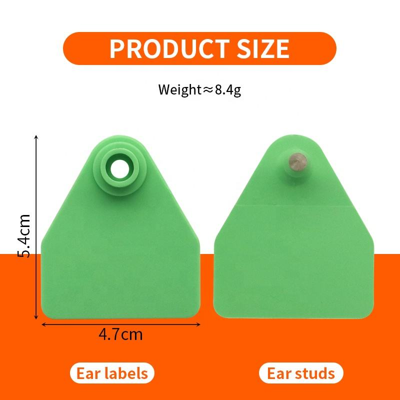 Greencattleeartagwithapproximate5.4by4.7centimeterdimensions