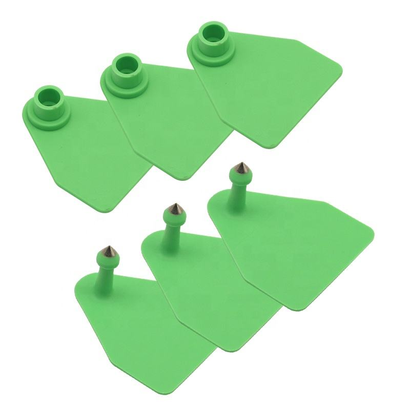 Greencattleeartagsandmatchingearstudsshownasaset