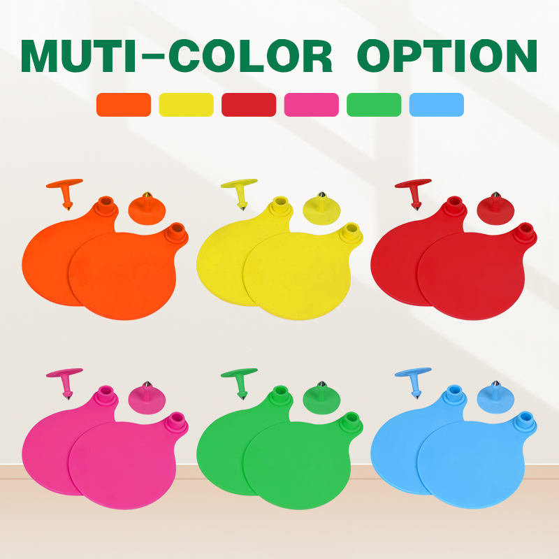 Multi-colorroundanimaleartagswithmatchingbuttonsinorangeyellowredpinkgreenandblue