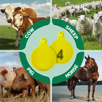 Roundlivestockeartagsshownforcattlesheeppigsandhorses