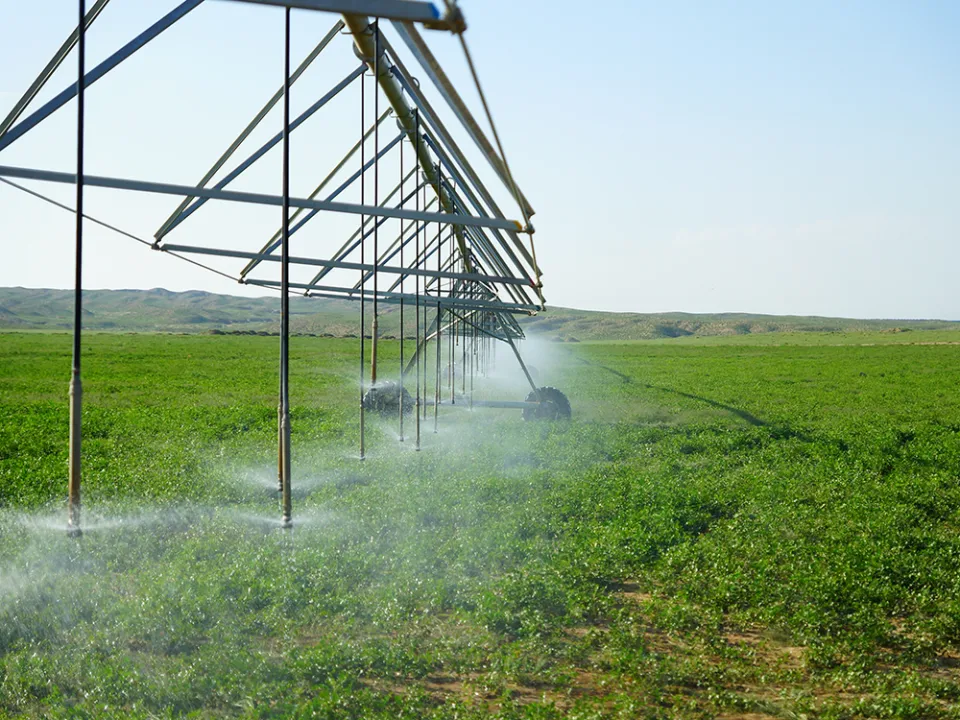 Power Line Communication Application for Agricultural Irrigation
