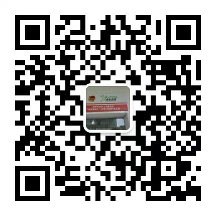 41中微信二维码