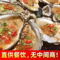 O1CN017KM03B1hIqEJ6Iabp_!!2496734255