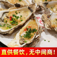 O1CN01Ay9OsL1hIqEDQ5bDl_!!2496734255