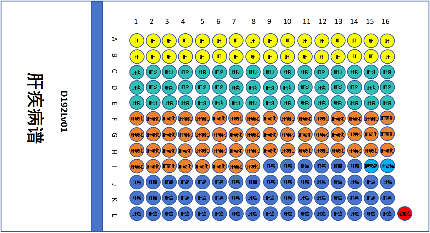 D192LV01肝疾病谱组织芯片