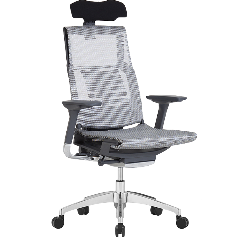 Ergonor Pofit