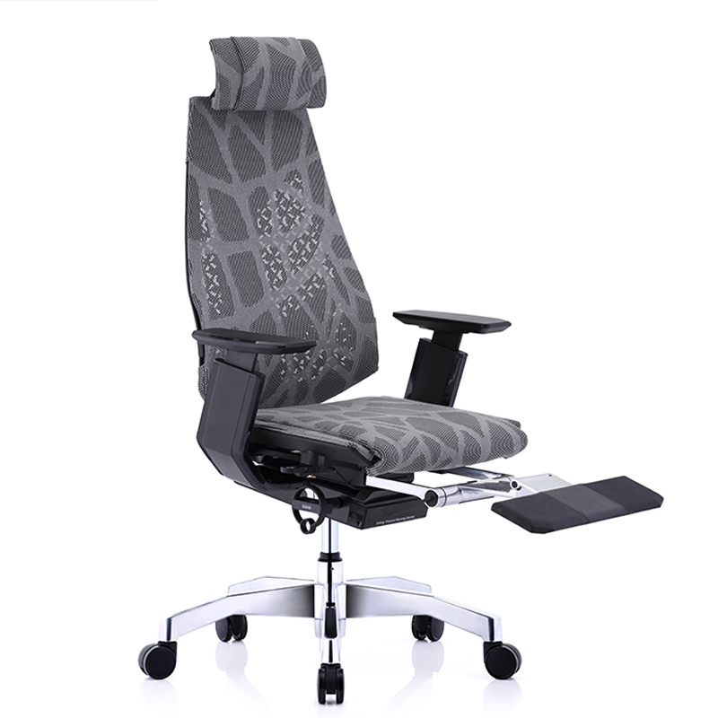Ergonor基尼迪亚