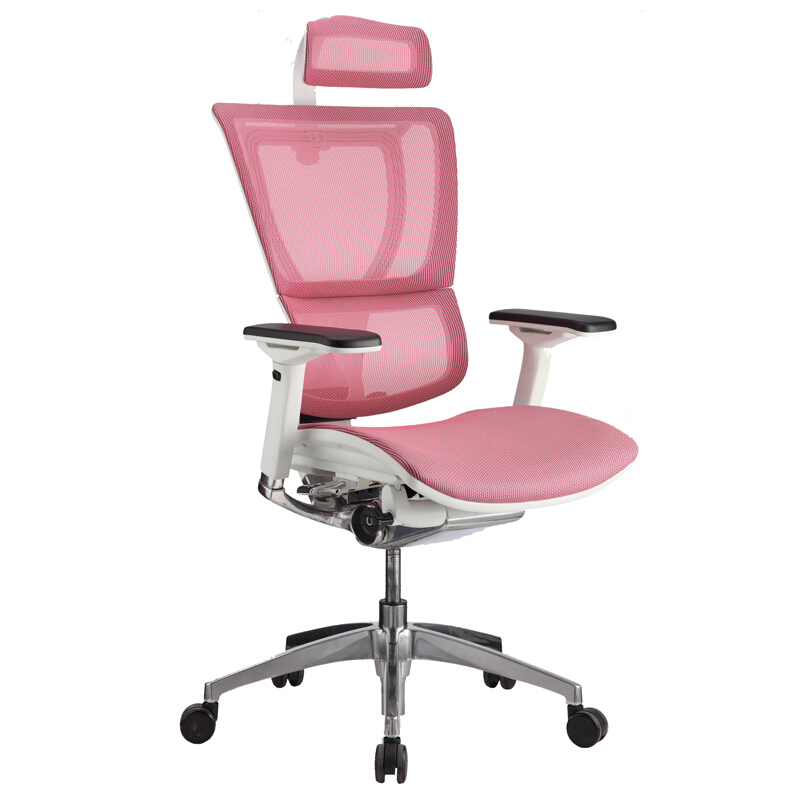 Ergonor优ioo