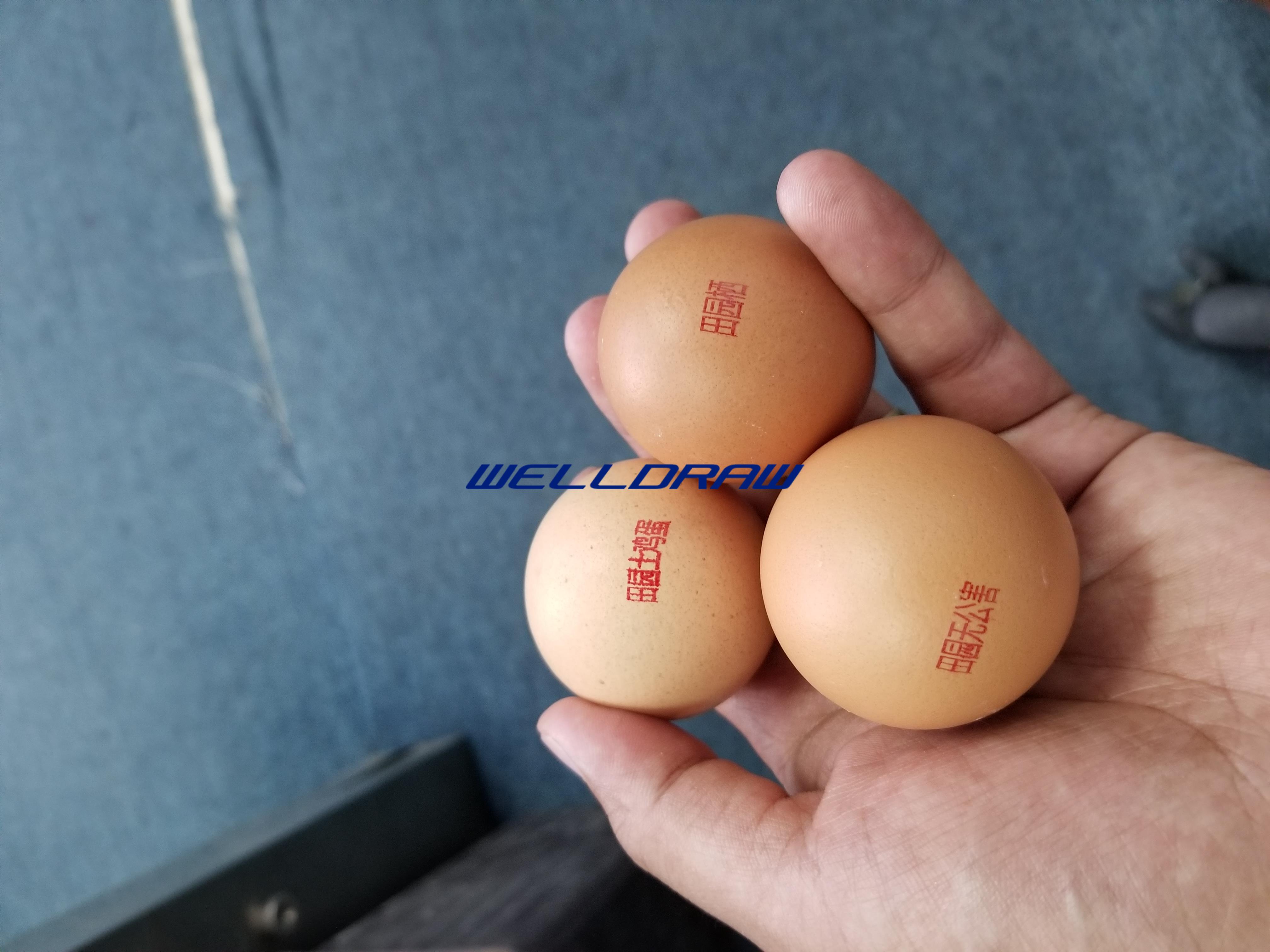 微信图片_201909101202394