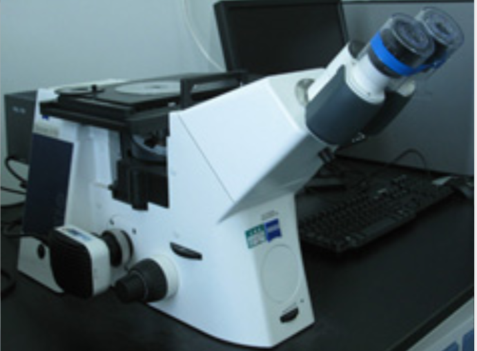 金相显微镜