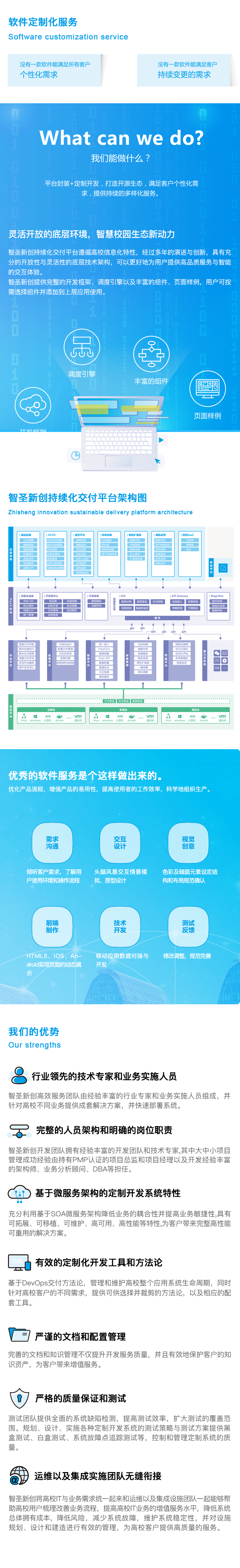 软件定造化服务2