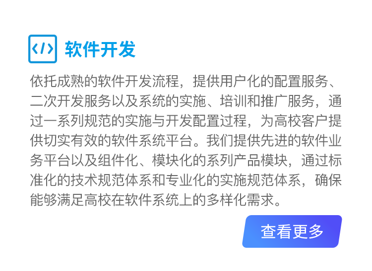 软件服务