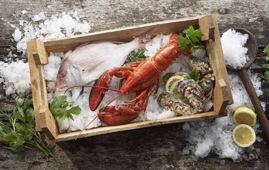 s水产品空运,冷冻品空运,冻虾航空货运