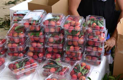 生鲜食品航空货运