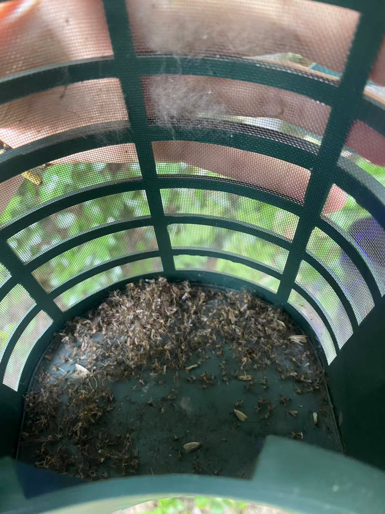集虫桶效果 - 倒吸式风道结构