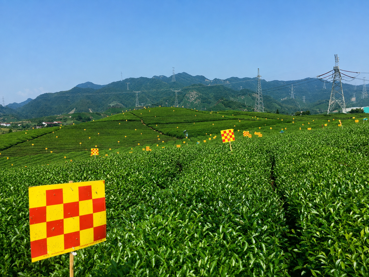 天敌友好型诱虫板
