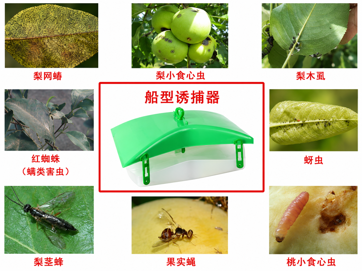 害虫诱捕器与性信息素