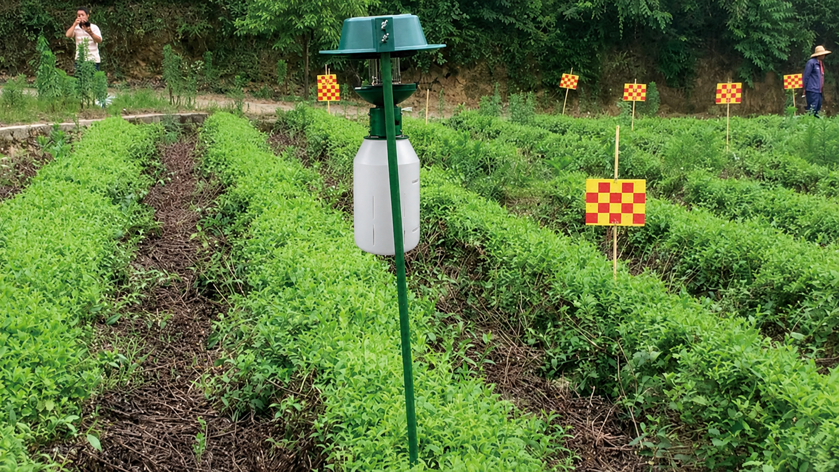 多功能诱捕器