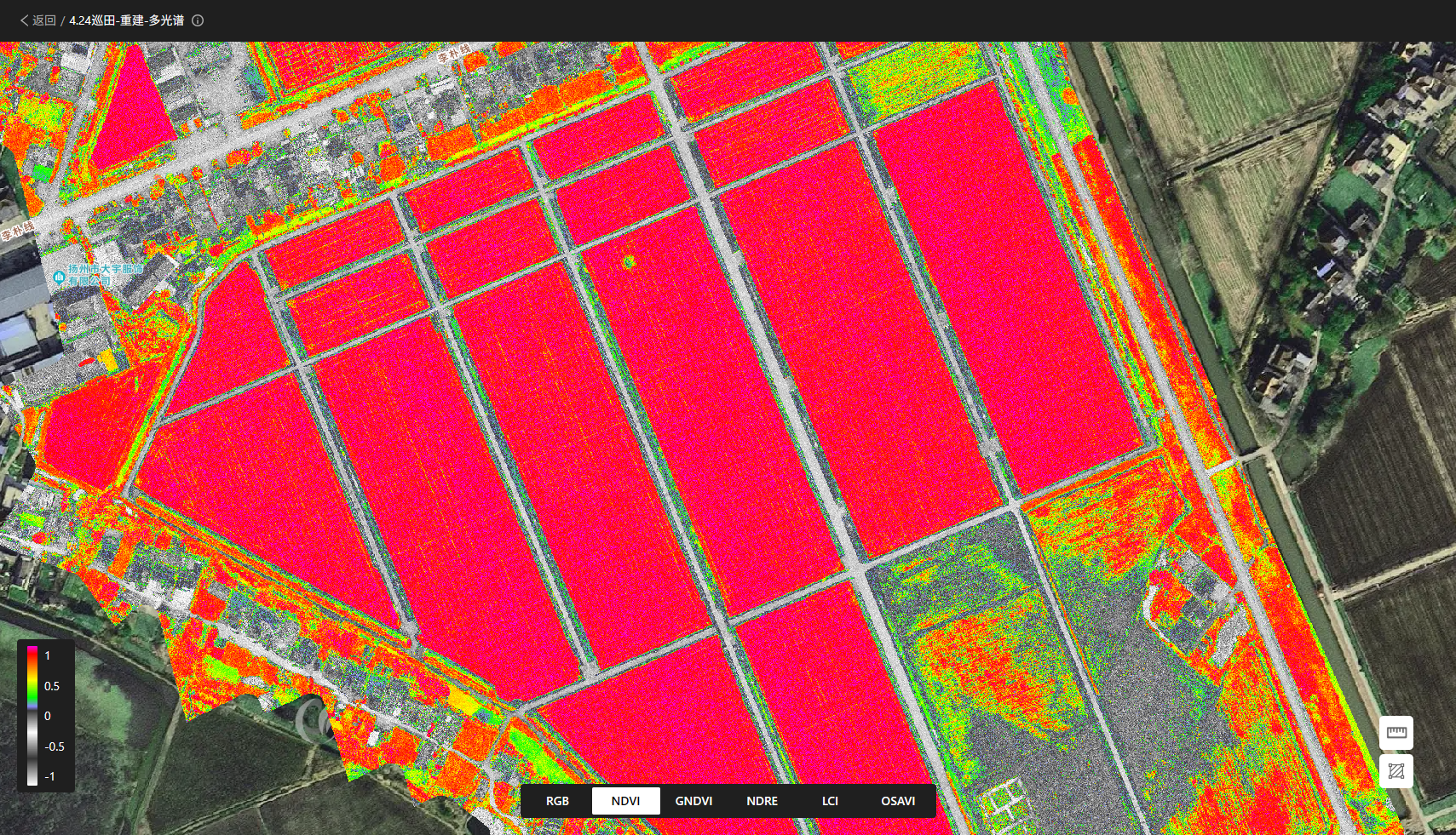NDVI