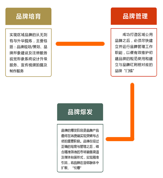 虞生优梨案例图2