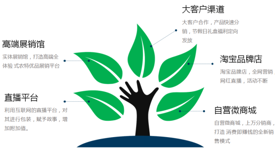 虞生优梨案例图4