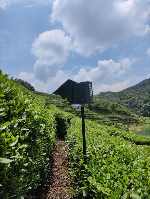 小体积昆虫捕捉仪