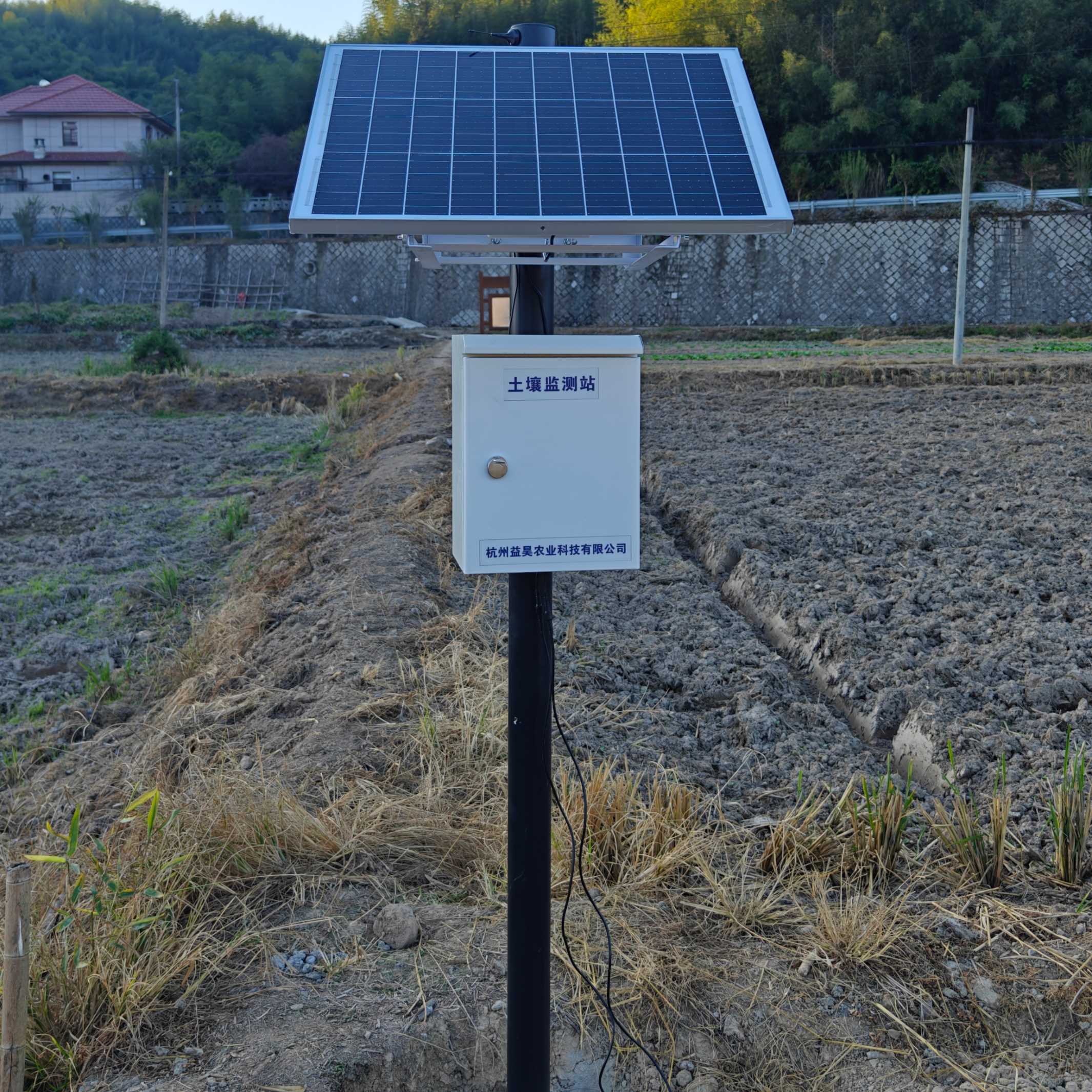 乡村振兴