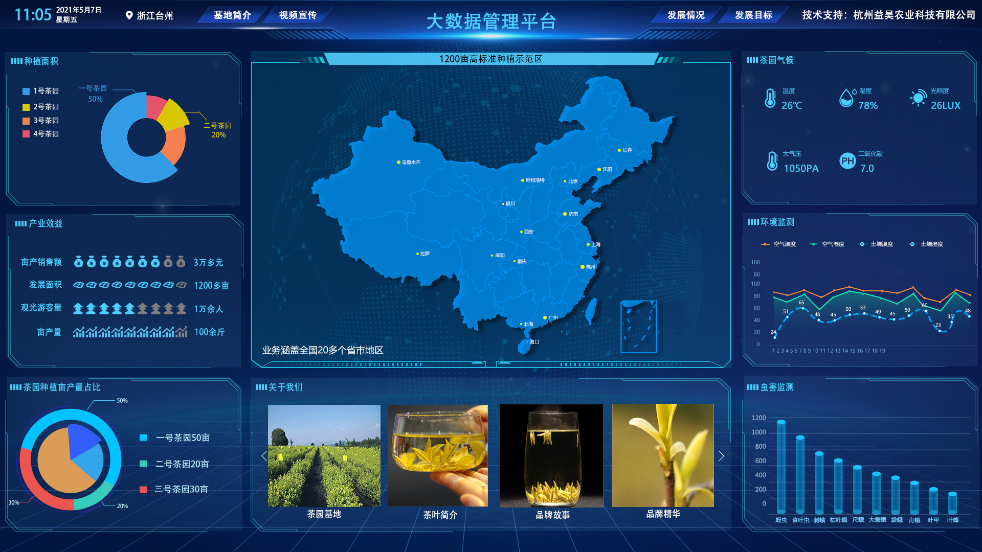 苍南数字茶园 2