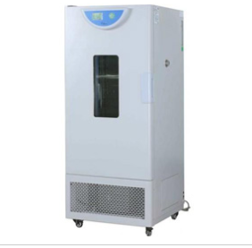 霉菌培养箱