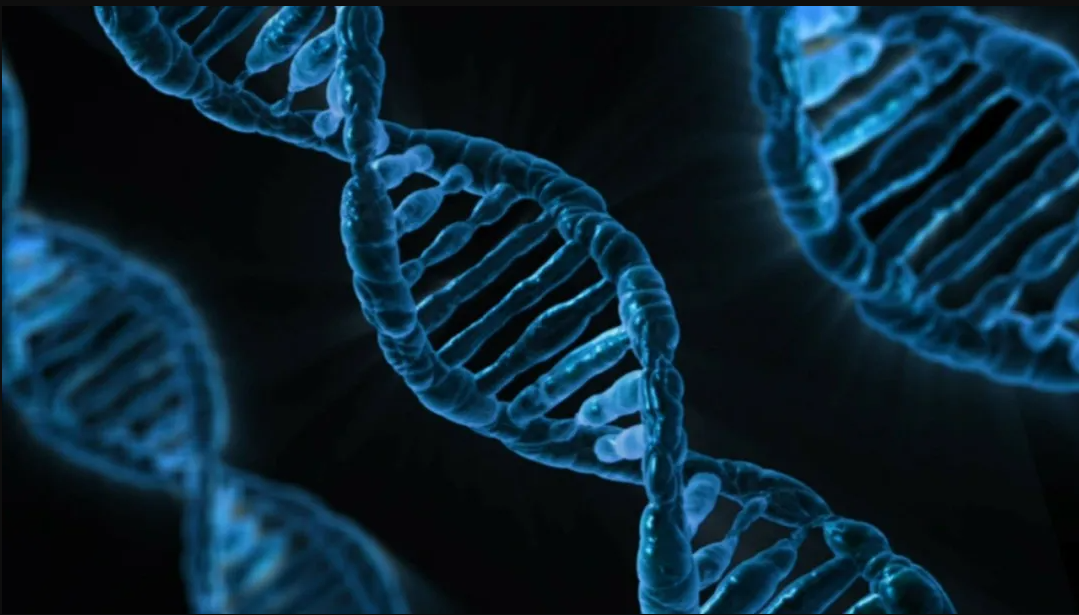 干货| 你的荧光定量PCR做好了吗？