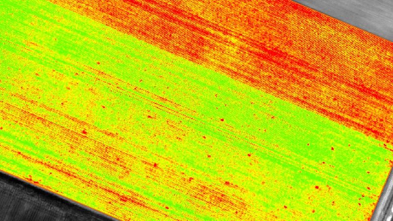 IMAGE_OUTPUTS_PIX4DMAPPER_indexmaps