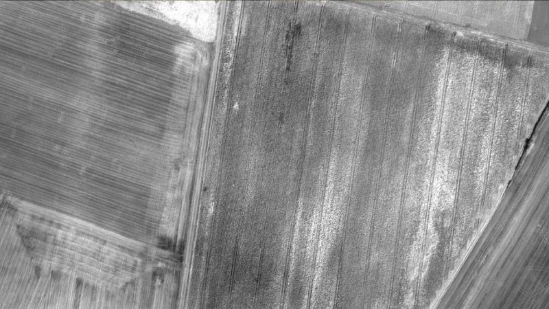 IMAGE_OUTPUTS_PIX4DMAPPER_reflectance