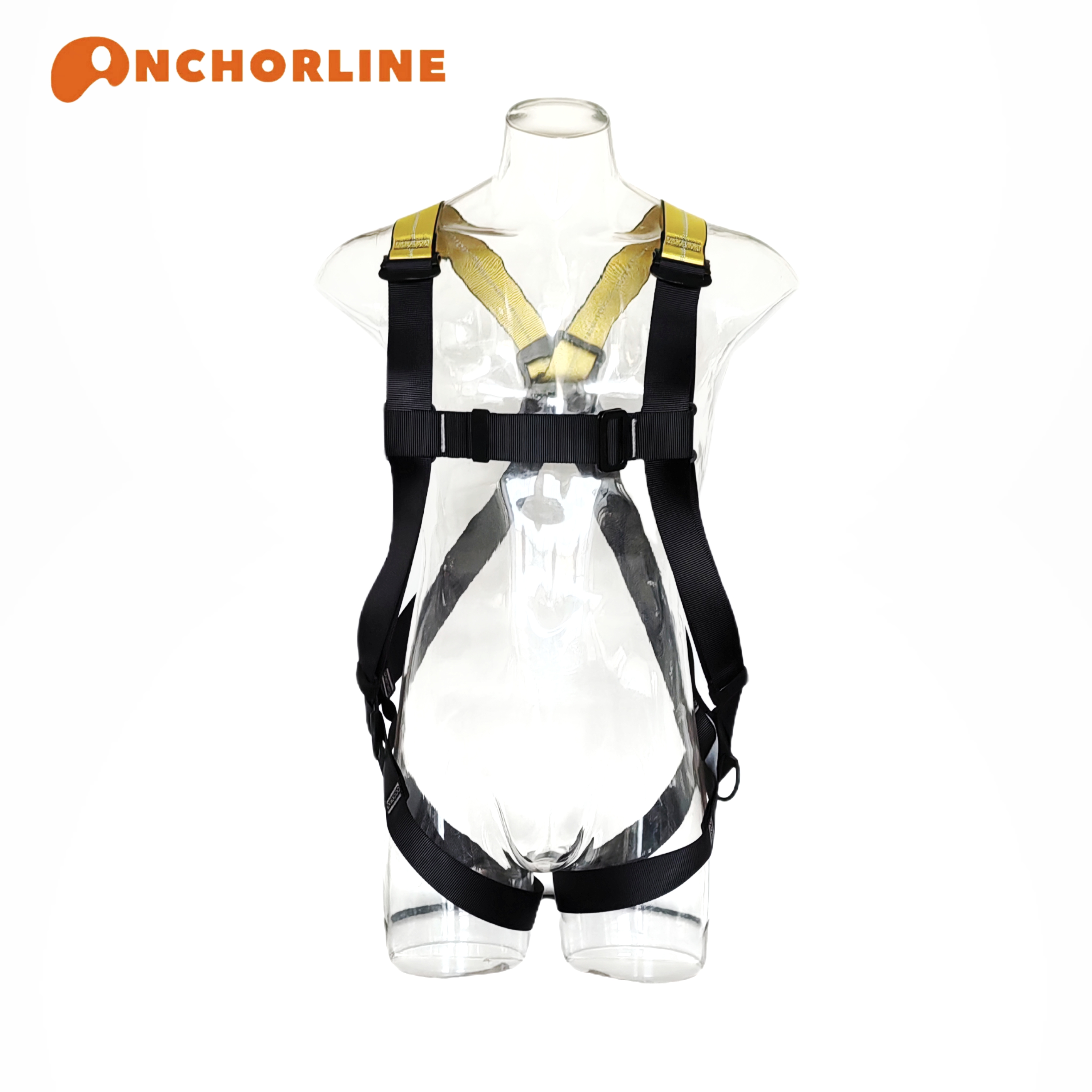 微信图片_20241125161558