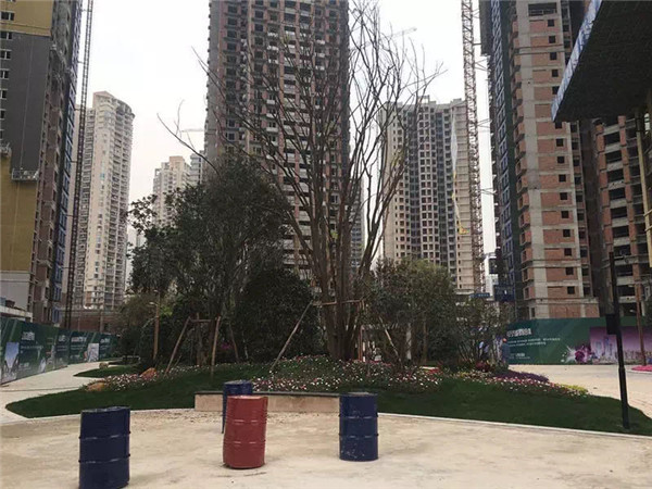 住宅景观设计公司