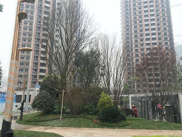 成都乡村振兴景观设计公司