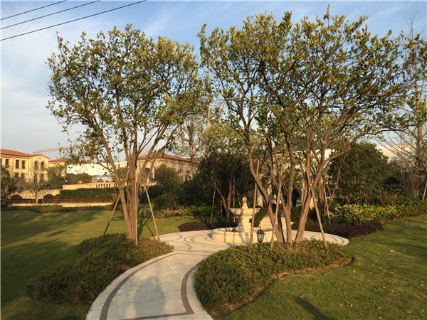 四川园林设计公司