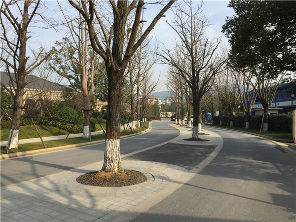 成都园林景观公司