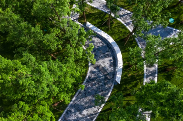 公园景观设计公司