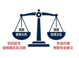 极致科技预算管理软件