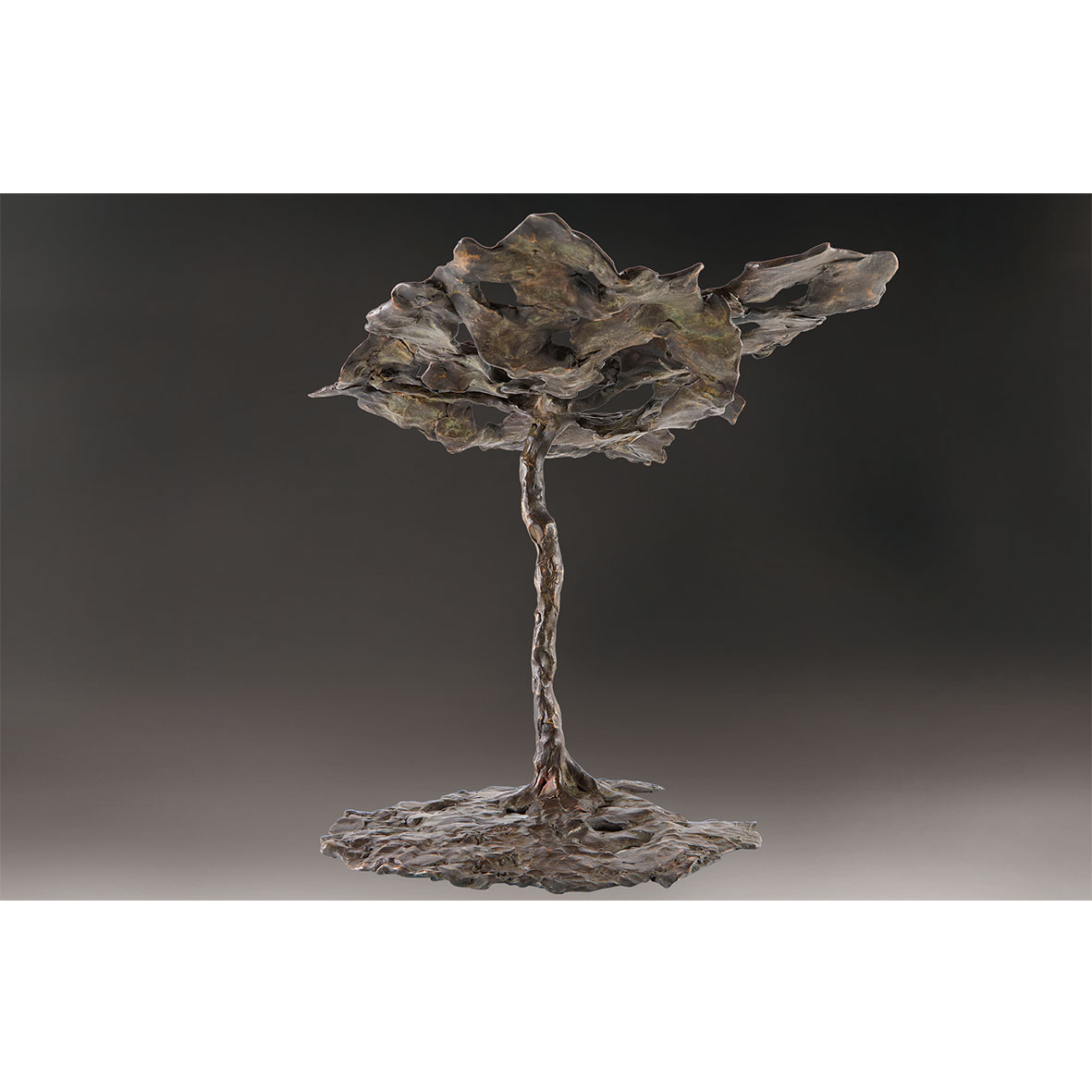 1_0011_11GiuseppeLaBrunaBonsai盆景60x50x40cm铸铜2002年