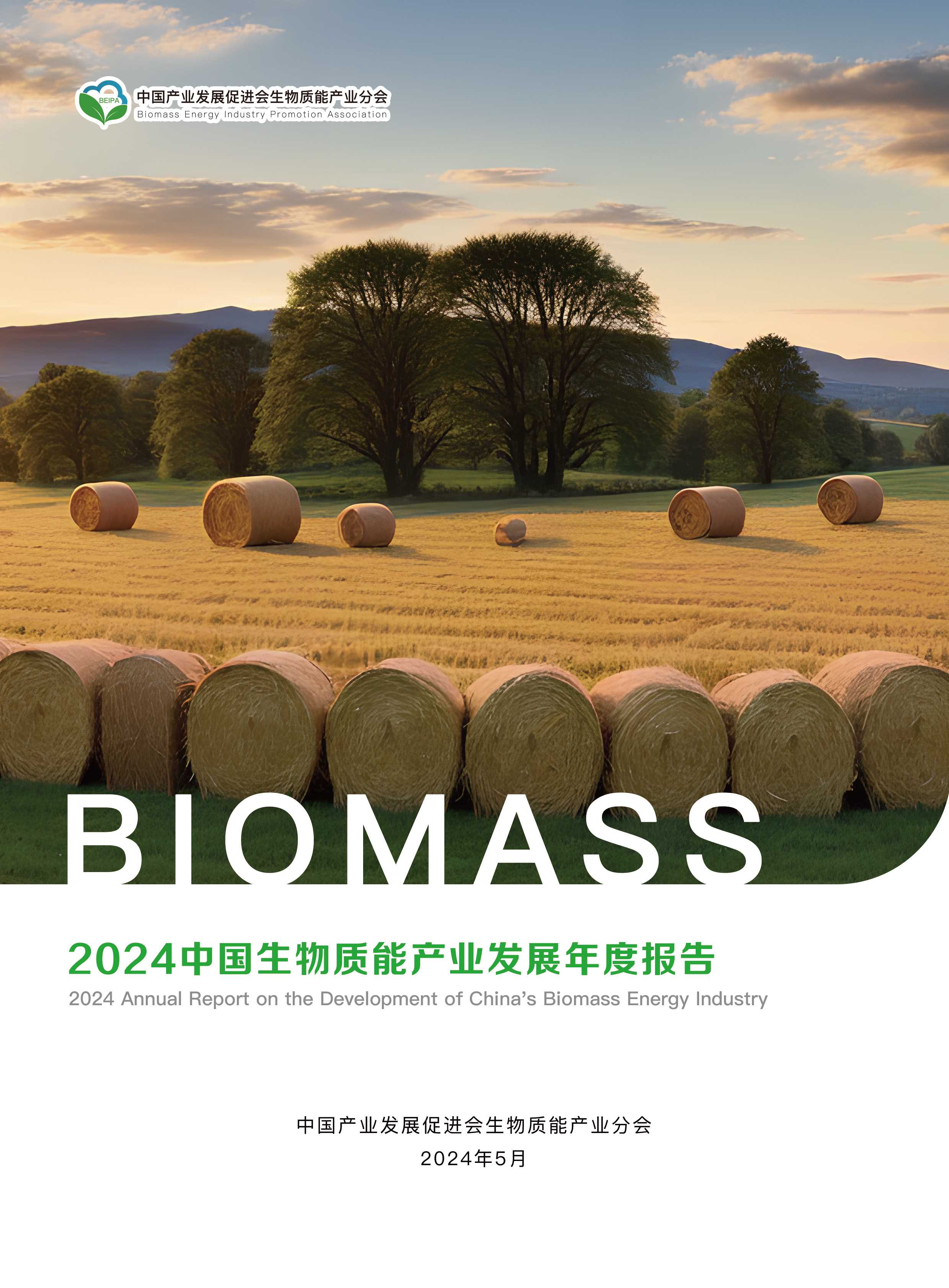 2024中国生物质能产业发展报告