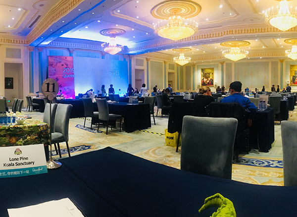 中英高端会议交传（昆士兰州旅游推介会）