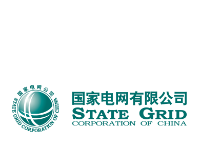 国家电网有限公司