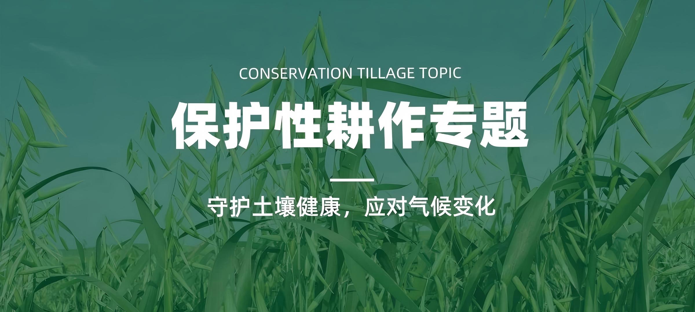 保护性耕作与土壤健康