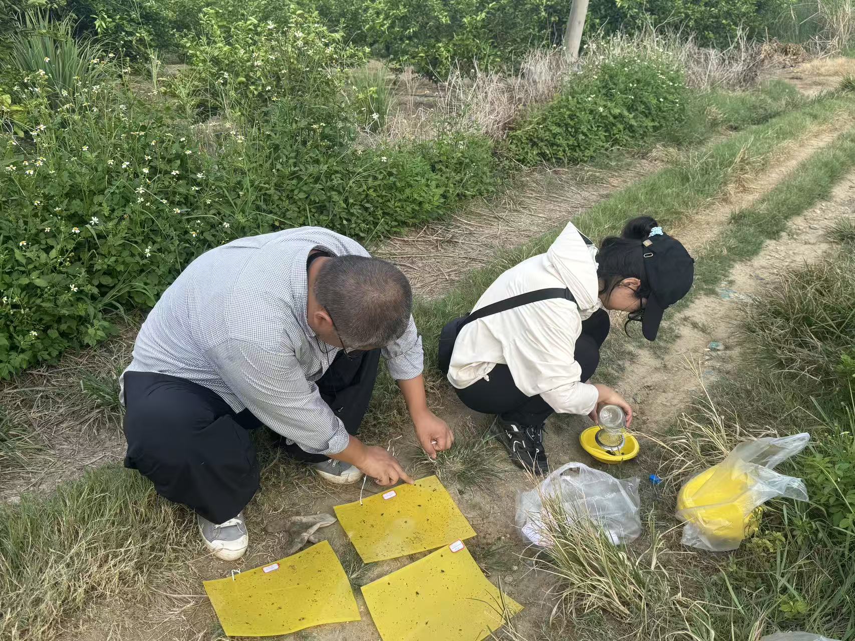 直播回顾 | 如果梯田枯了，种子还在，我们可以怎样种水稻？