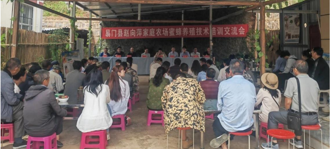 思力中心助力易门县小街乡蜂产业提质增效