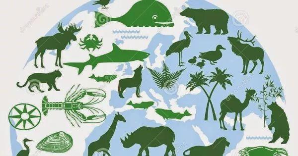 农业生物多样性的功能与价值